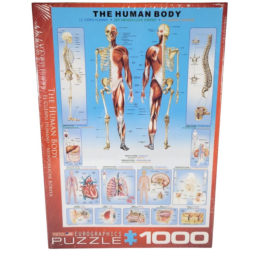 Eurographics The Human Body 1000-piece Puzzle New Sealed Educational